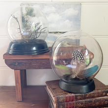 Load image into Gallery viewer, Rose Dome Vintage Glass Orb Display Cloche
