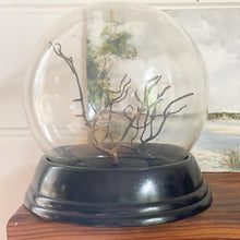 Load image into Gallery viewer, Rose Dome Vintage Glass Orb Display Cloche
