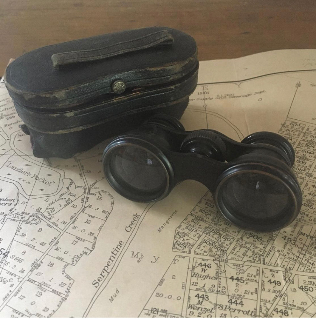 Vintage Binoculars Field Glasses with Case